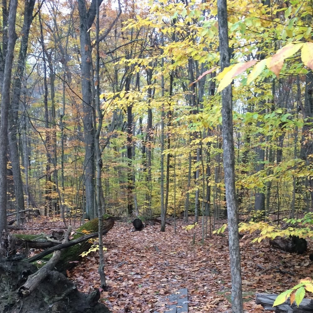 Meet your Posher, Bee